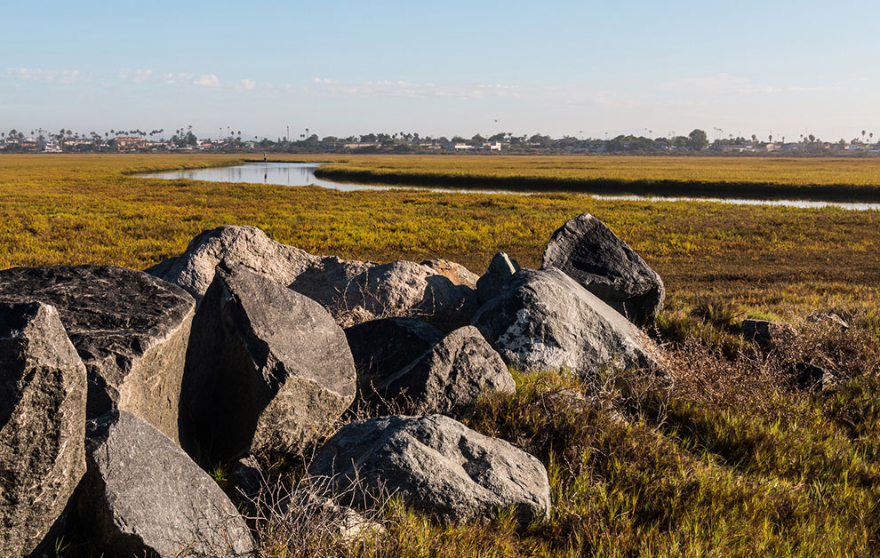 Estuary